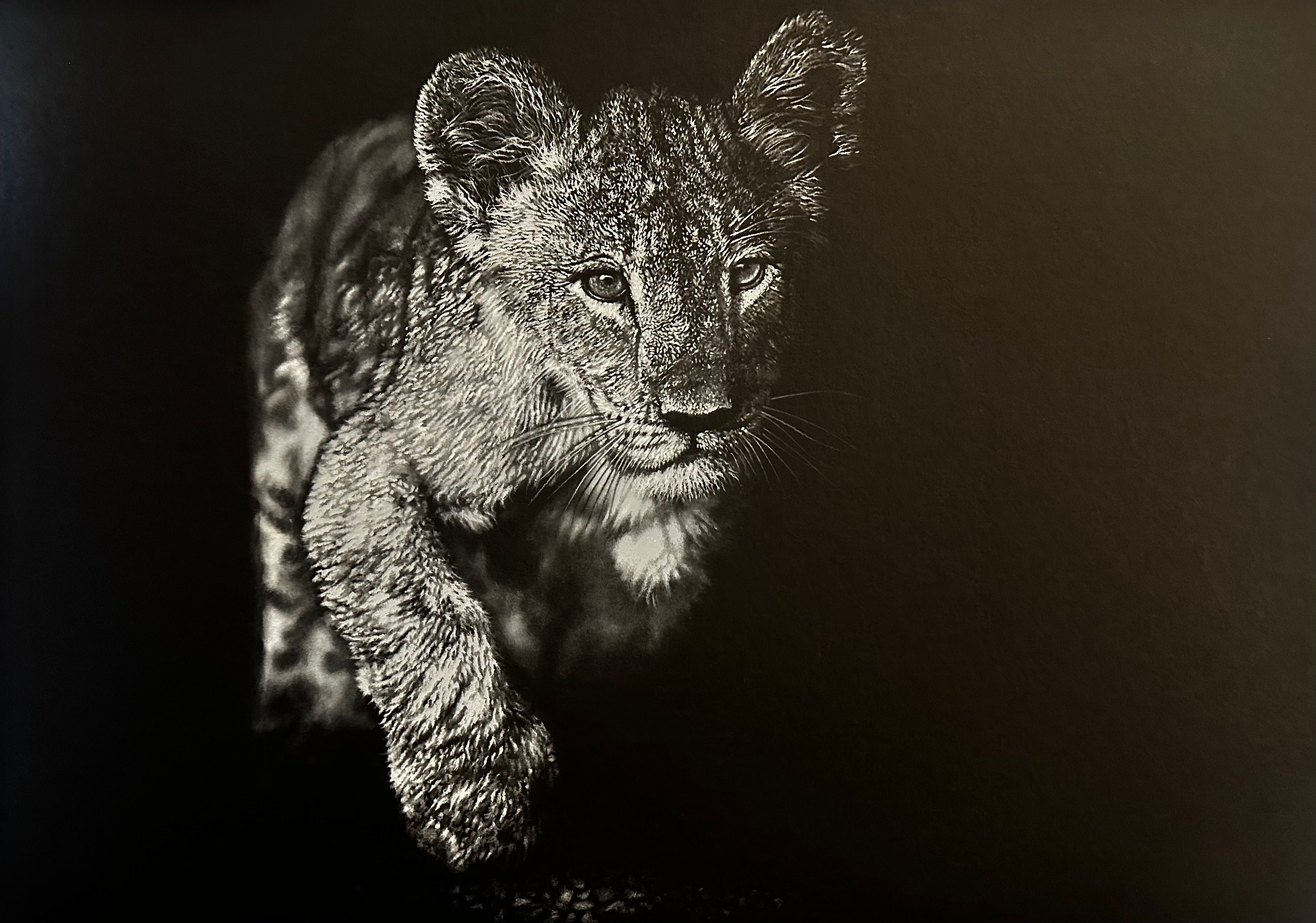 Emergence Lion Cub