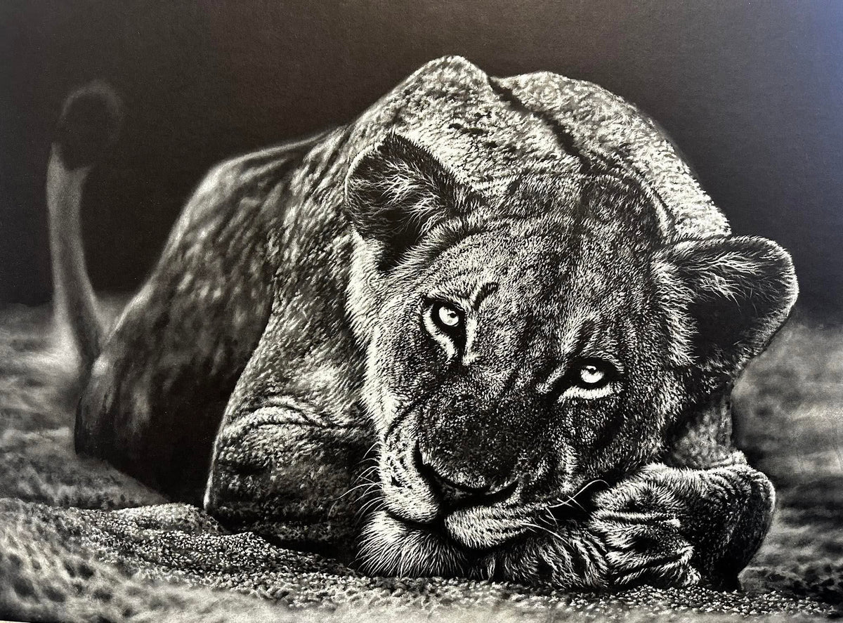 Serenity - lioness