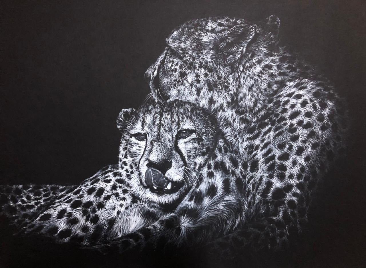A white charcoal detailed drawing of two cheetahs resting closely together against a dark background.