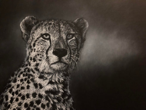 A detailed black and white portrait drawing of a cheetah or leopard's face and upper body against a dark smoky background.