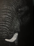 A close-up white charcoal drawing   of an African elephant's textured skin and a portion of its tusk, presented as wall art.