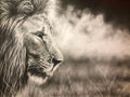 A Greyscale close-up portrait of a lion in profile, with soft blurred grass and foliage in the background.