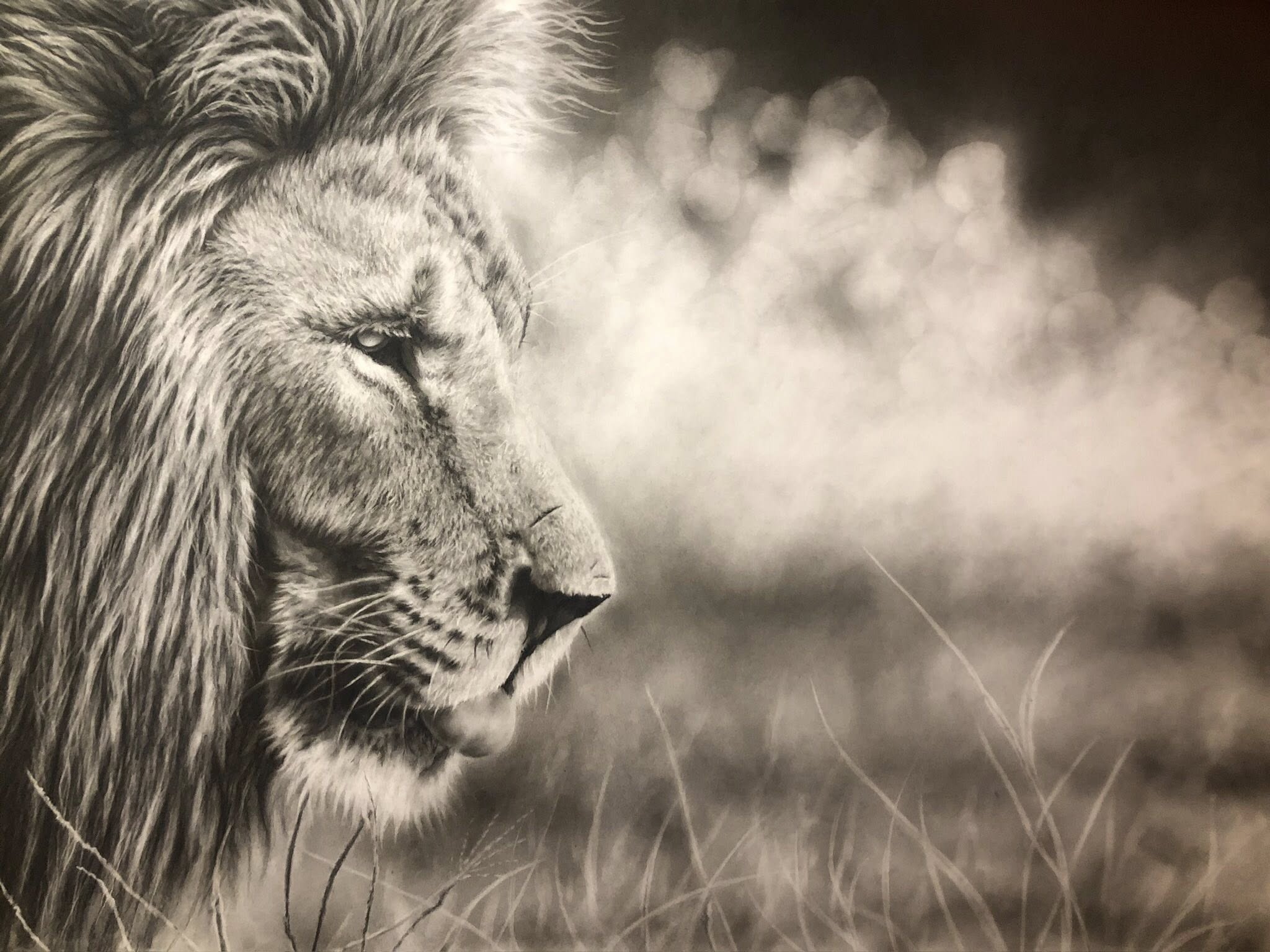 A Greyscale close-up portrait of a lion in profile, with soft blurred grass and foliage in the background.