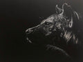 A white charcoal drawing of a hyena on a dark background