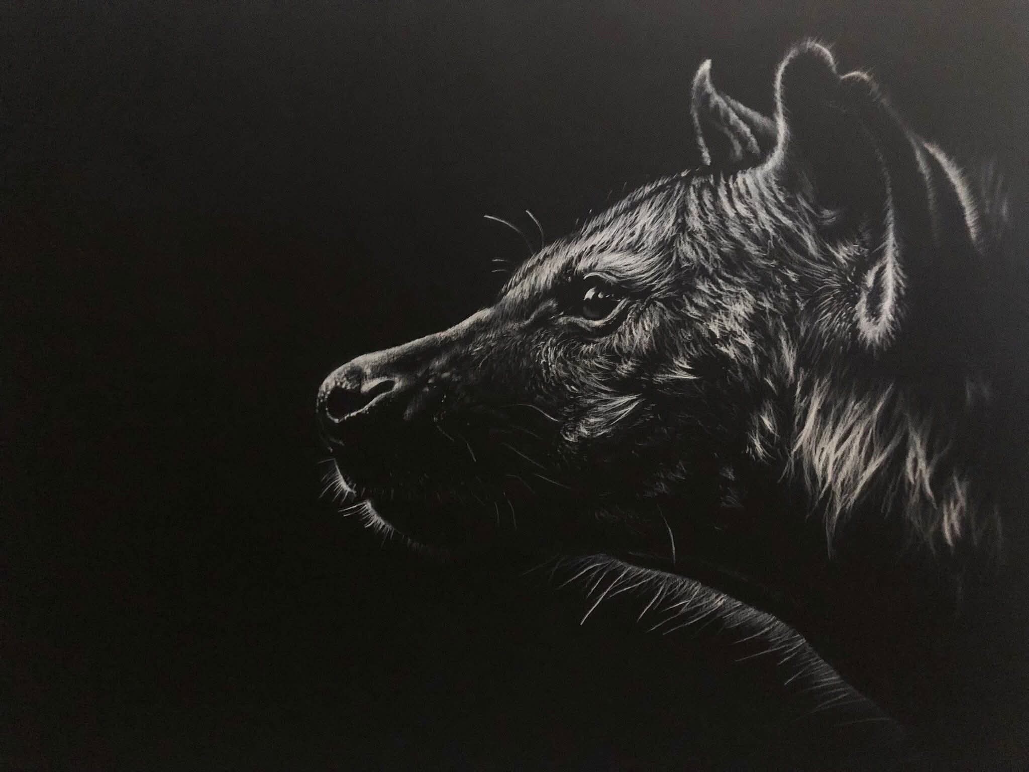 A white charcoal drawing of a hyena on a dark background