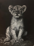 A white charcoal drawing of a young lion cub sitting upright against a dark background.