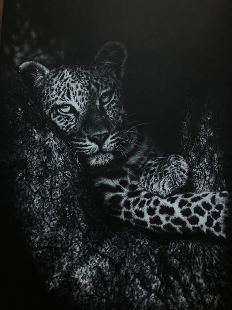 A white charcoal drawing of a leopard resting on textured tree bark, with the animal's face and spotted fur pattern clearly visible against a dark background.