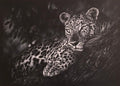 A detailed white charcoal drawing of a leopard resting on a tree branch, surrounded by dark foliage.