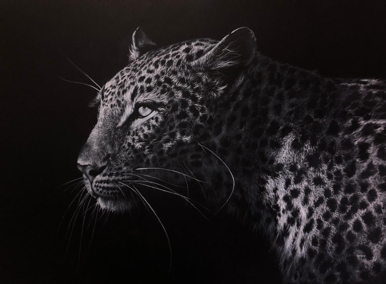 A dramatic black and white close-up portrait of a leopard in profile against a dark background.