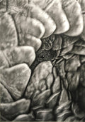 A monochrome close-up artwork depicting the endangered pangolin in grayscale tones, showing it's vulnerability with only its eye visible among its scaled protection.