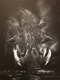 Warthog Charcoal
