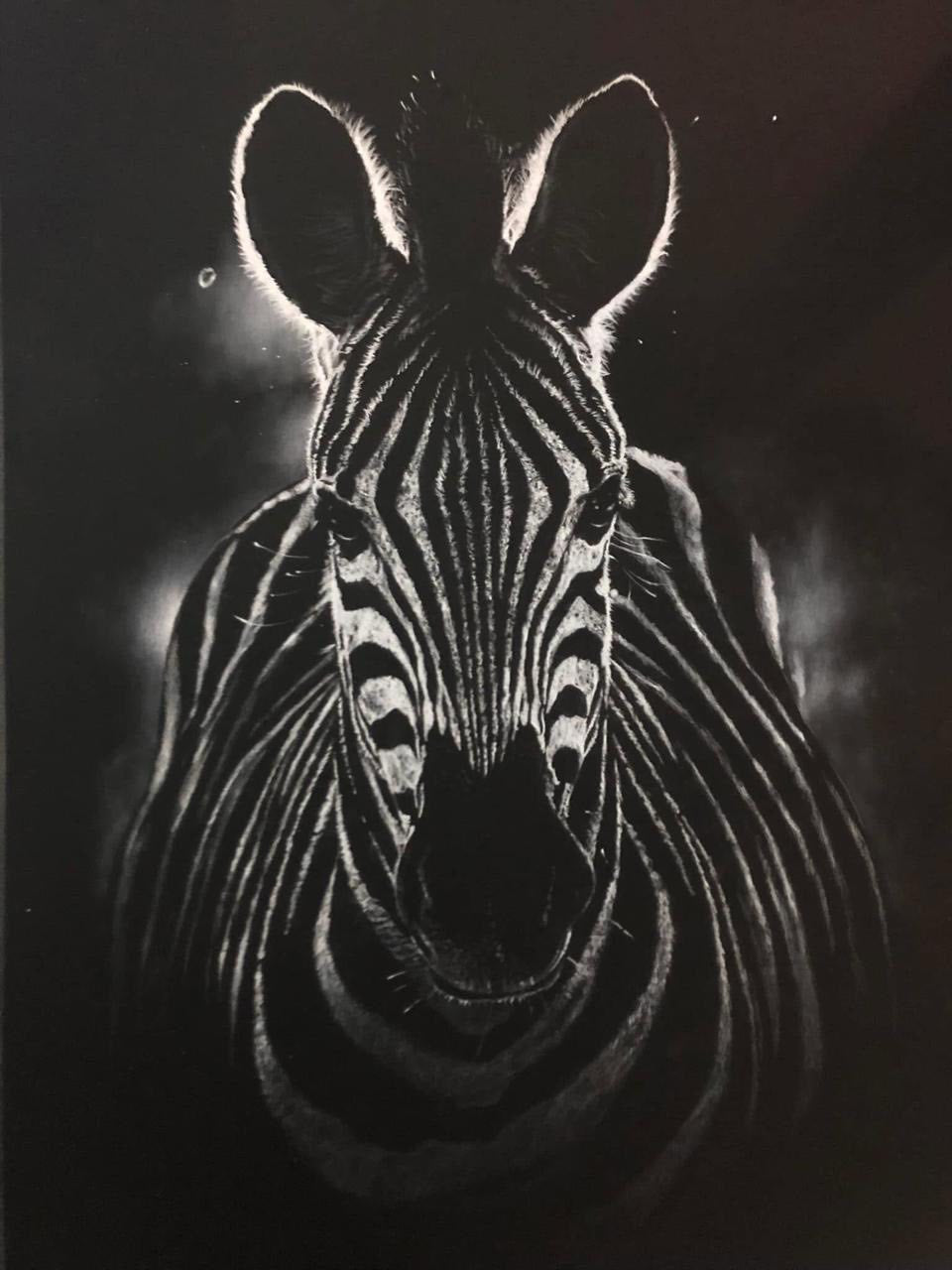 White charcoal drawing of a zebra's face against a dark background
